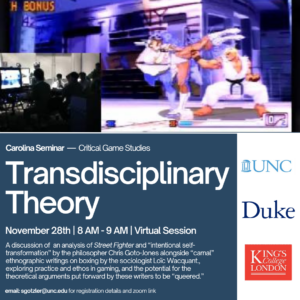 Transdisciplinary Theory